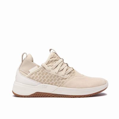 Supra TITANIUM - Miesten Lenkkarit - Beige